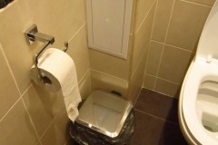 tualet_lyuk-revizii